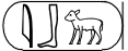Ibi