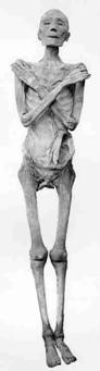 De mummie van Ramses V