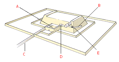 Schematische weergave van de graftombe