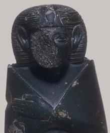 Nefroesobek